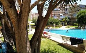 Apartamento Entero En La Playa San Juan Benacantil