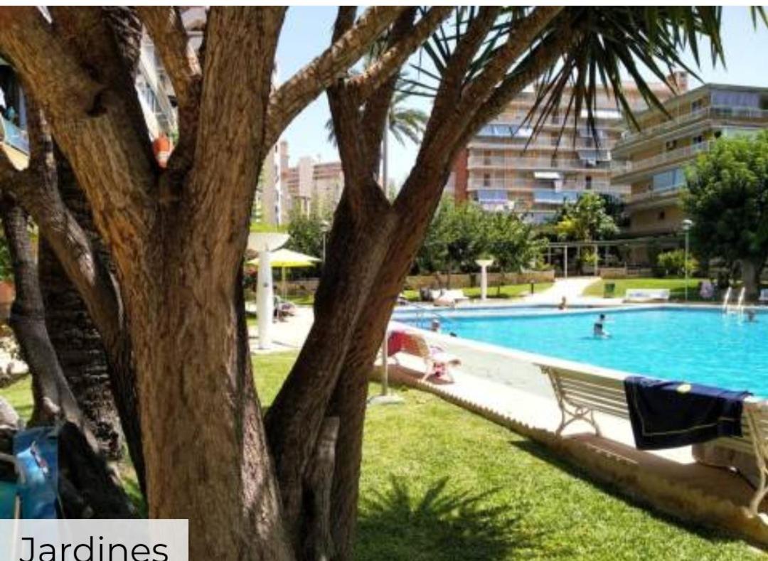 Apartamento Entero En La Playa San Juan Benacantil Alicante Extérieur photo